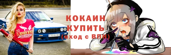 индика Дмитровск