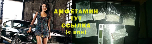 индика Дмитровск