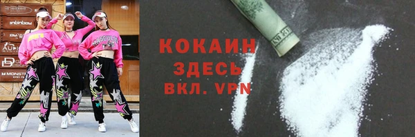 стаф Дмитриев
