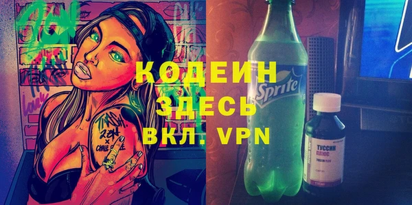 индика Дмитровск