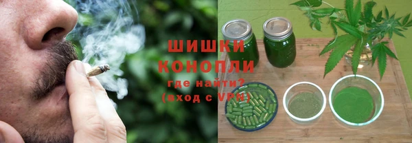 стаф Дмитриев