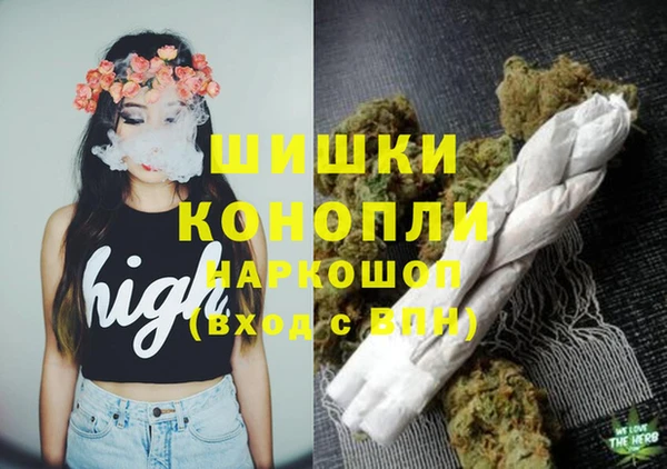 индика Дмитровск