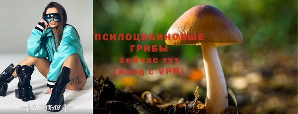 индика Дмитровск