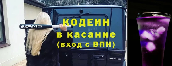 индика Дмитровск
