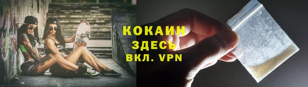 индика Дмитровск