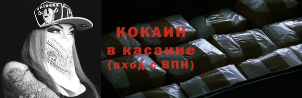 индика Дмитровск