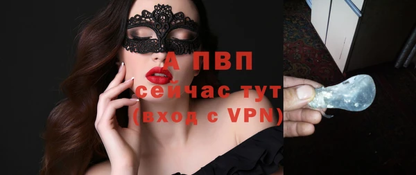 индика Дмитровск