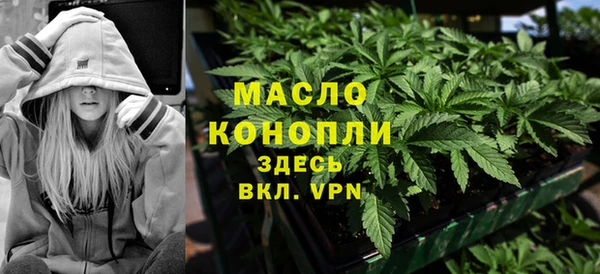 индика Дмитровск
