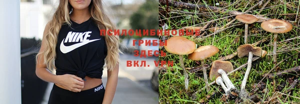 марихуана Дмитров