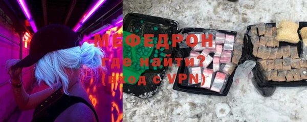 индика Дмитровск