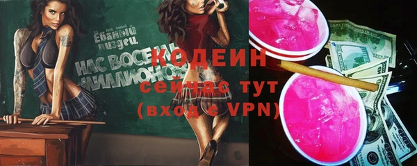 индика Дмитровск