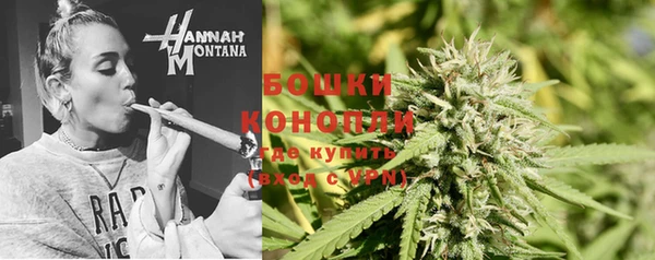 стаф Дмитриев