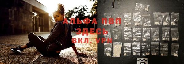 индика Дмитровск