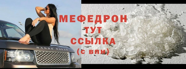 индика Дмитровск