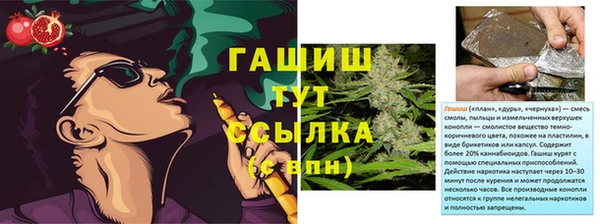 индика Дмитровск