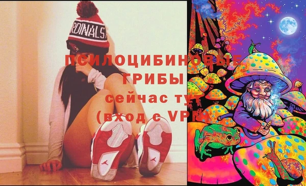 индика Дмитровск