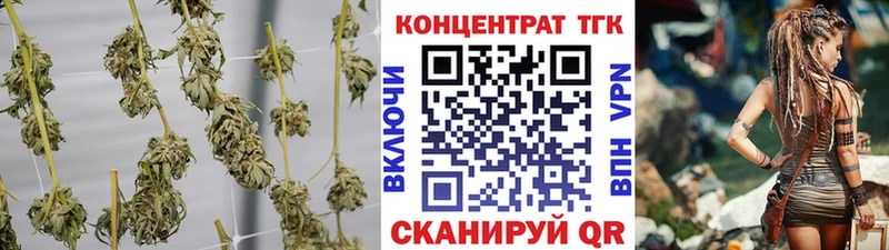 ТГК THC oil  Олонец 